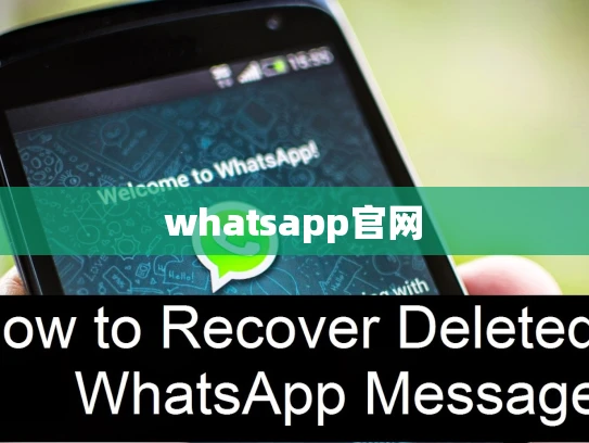whatsapp官网