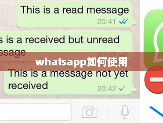 whatsapp如何使用