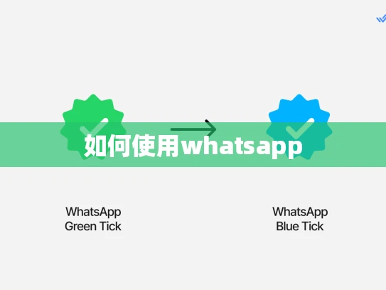 如何使用whatsapp