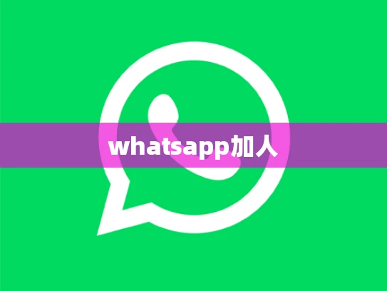 whatsapp加人