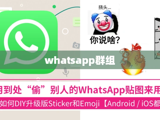 whatsapp群组