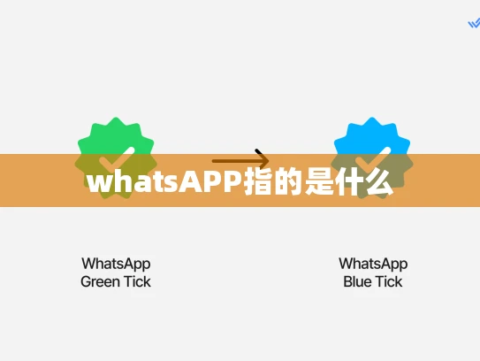 whatsAPP指的是什么 whatsAPP指的是什么