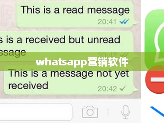 whatsapp营销软件