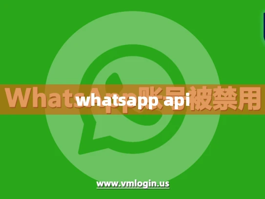 whatsapp api