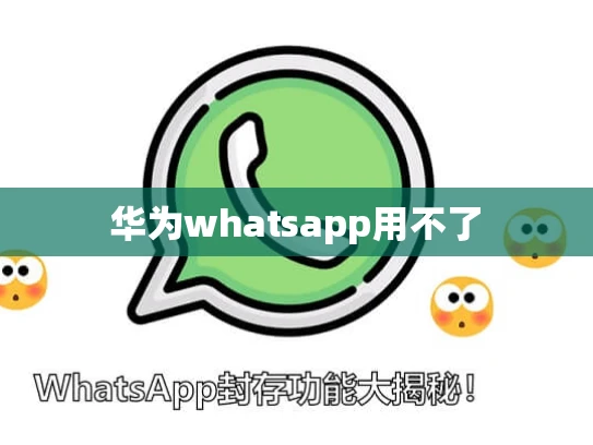 华为whatsapp用不了