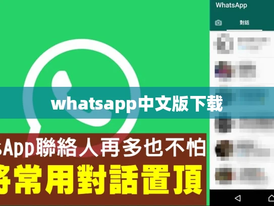 whatsapp中文版下载