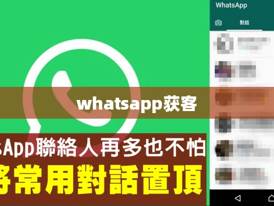 whatsapp获客 whatsapp获客