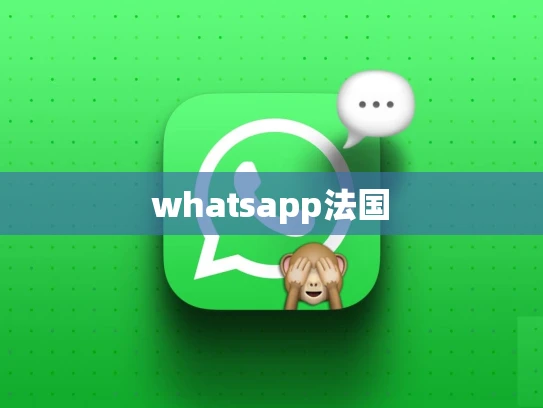 whatsapp法国