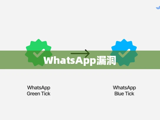WhatsApp漏洞