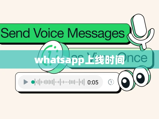 whatsapp上线时间