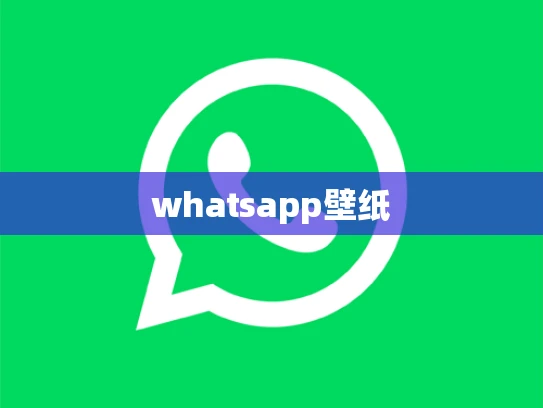 whatsapp壁纸