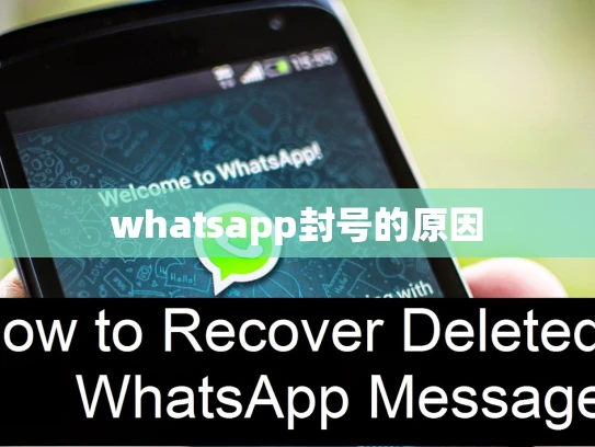 whatsapp封号的原因