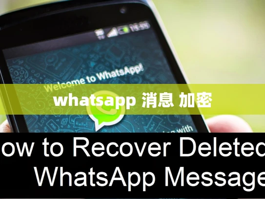whatsapp 消息 加密