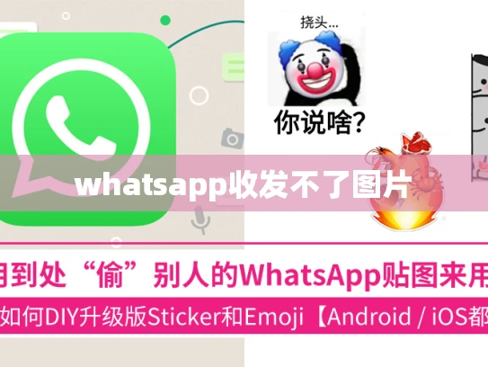 whatsapp收发不了图片