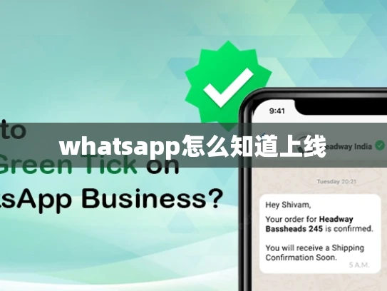 whatsapp怎么知道上线