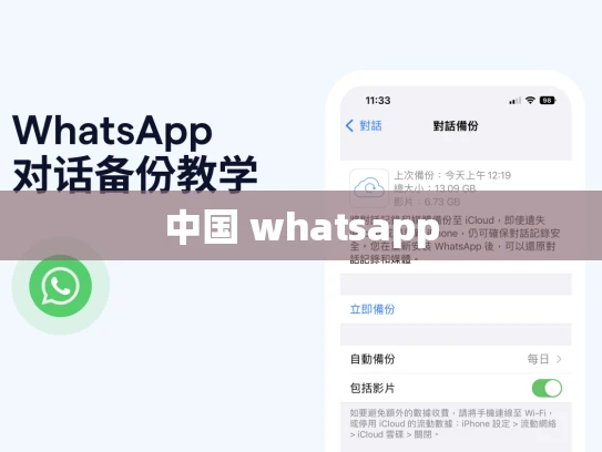 中国 whatsapp 中国 whatsapp