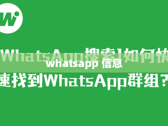 whatsapp 信息