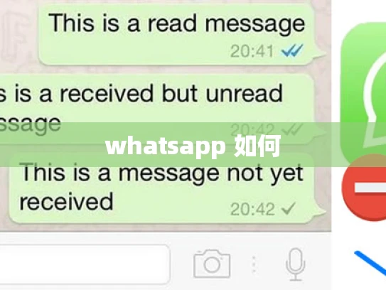 whatsapp 如何 whatsapp 如何