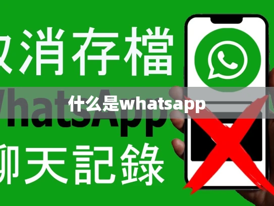 什么是whatsapp 什么是whatsapp