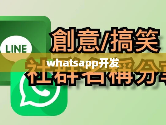 whatsapp开发 whatsapp开发