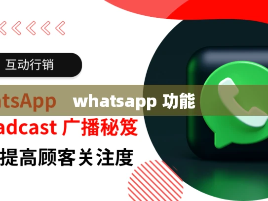 whatsapp 功能