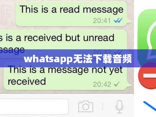 whatsapp无法下载音频
