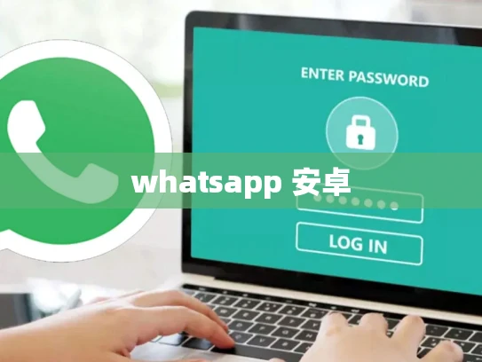 whatsapp 安卓 whatsapp 安卓