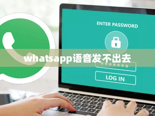 whatsapp语音发不出去