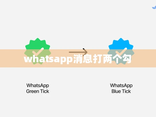 whatsapp网页版消息打两个勾 whatsapp网页版消息打两个勾