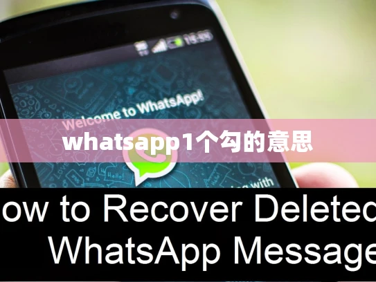 whatsapp网页版 1个勾的意思 whatsapp网页版 1个勾的意思