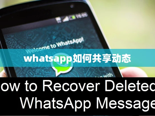 whatsapp不封号