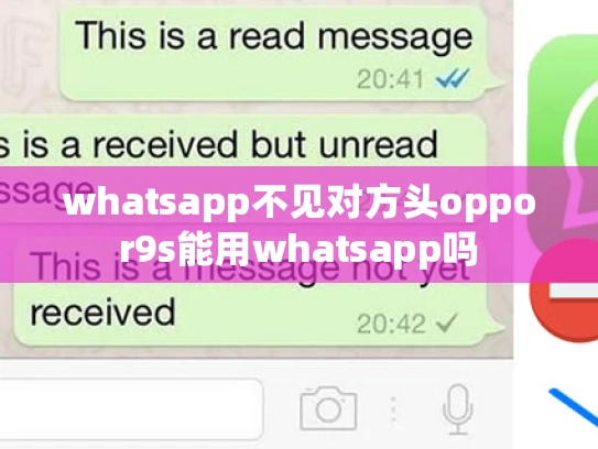 whatsapp不见对方头oppor9s能用whatsapp吗