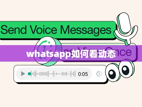 whatsapp怎么看别人的动态