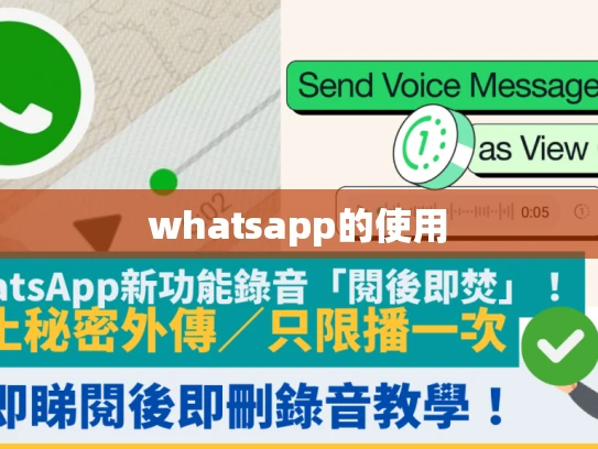 whatsapp business whatsapp business
