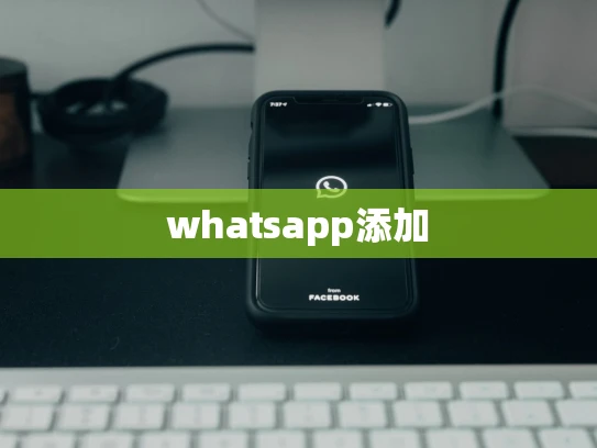 whatsapp下载