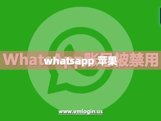 whatsapp网页版状态使用方法 whatsapp网页版状态使用方法