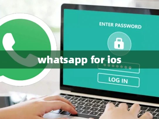 外贸为啥用whatsapp