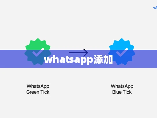 怎么可以连接WhatsApp 怎么可以连接WhatsApp