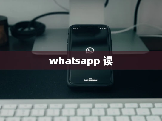 whatsapp上怎么备注 whatsapp上怎么备注