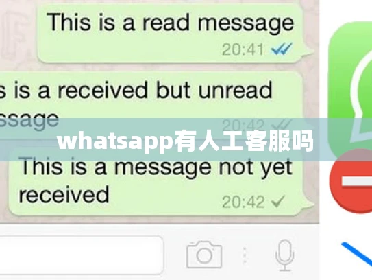 whatsapp有人工客服吗