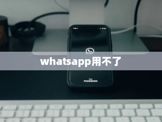 whatsapp用不了