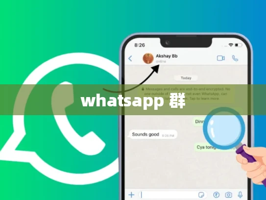 whatsapp 群