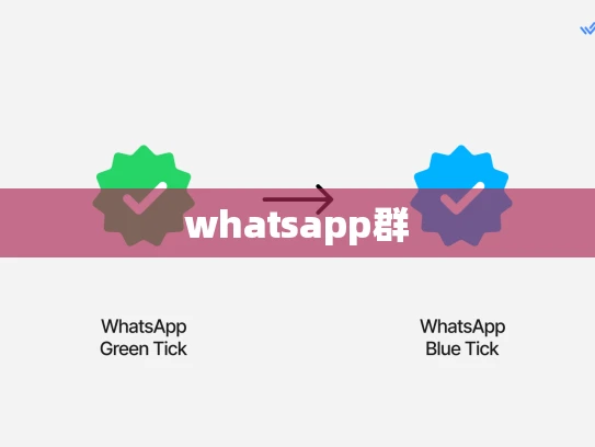 whatsapp群 whatsapp群
