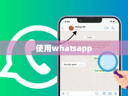 使用whatsapp