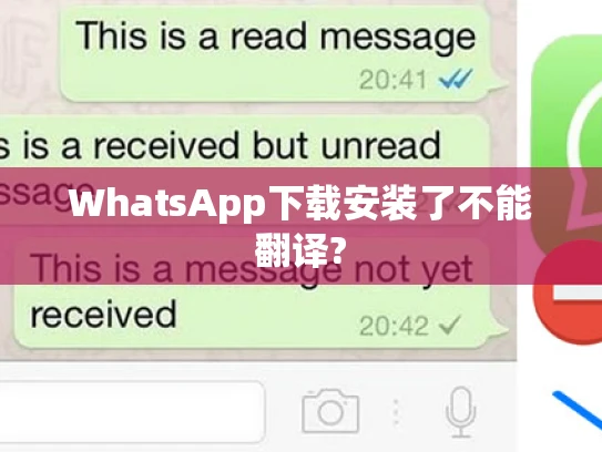 WhatsApp下载安装了不能翻译?