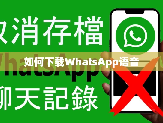 如何下载WhatsApp语音