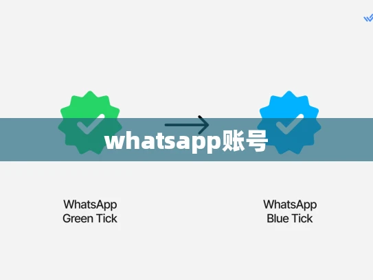 whatsapp账号